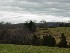 The view